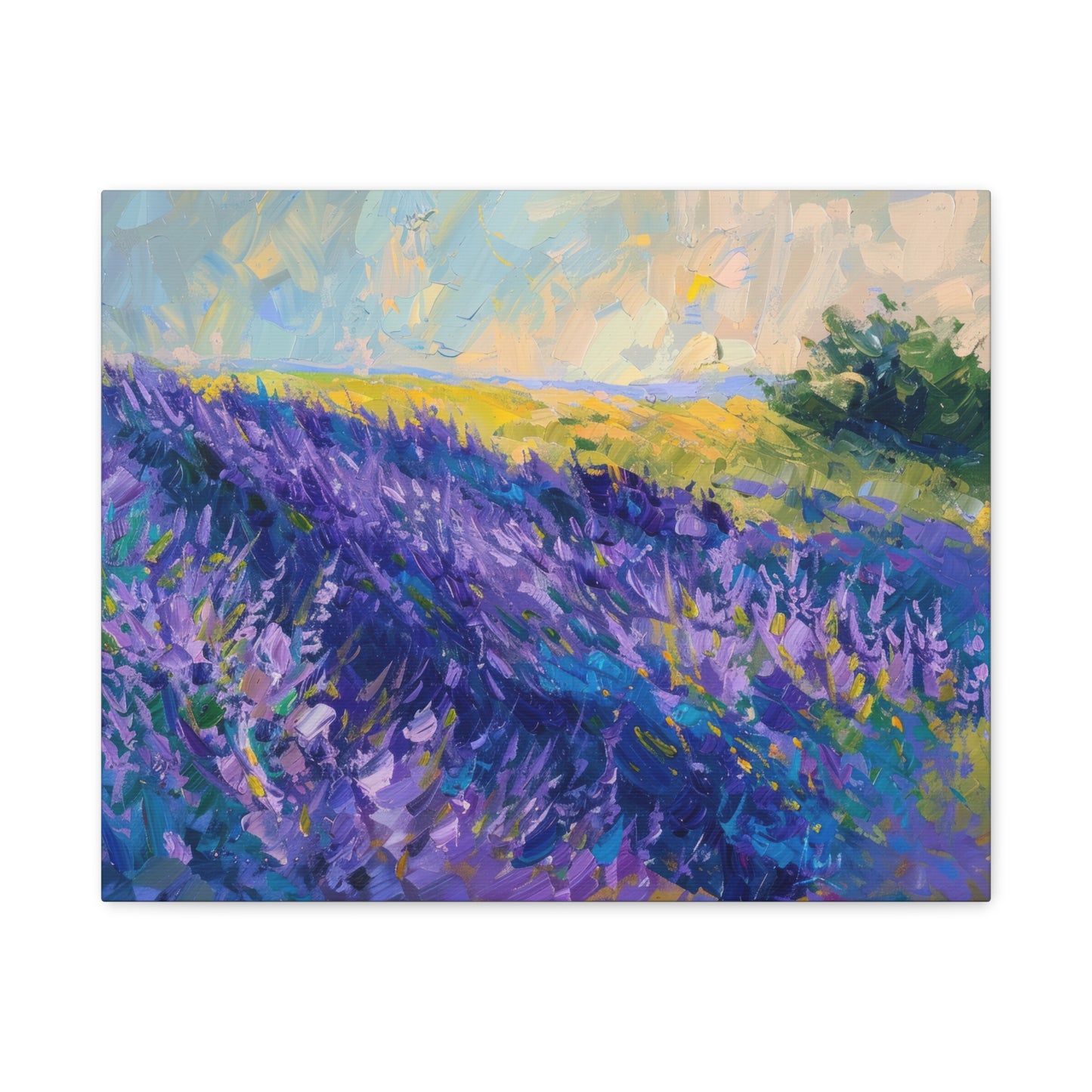 Lavender Fields Canvas Art Print - Multiple Sizing Options