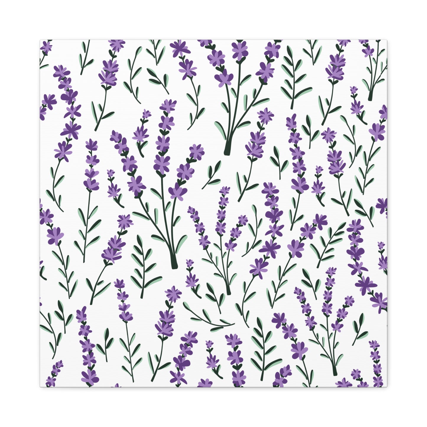 Lavender White Canvas Art Print - Multiple Sizing Options