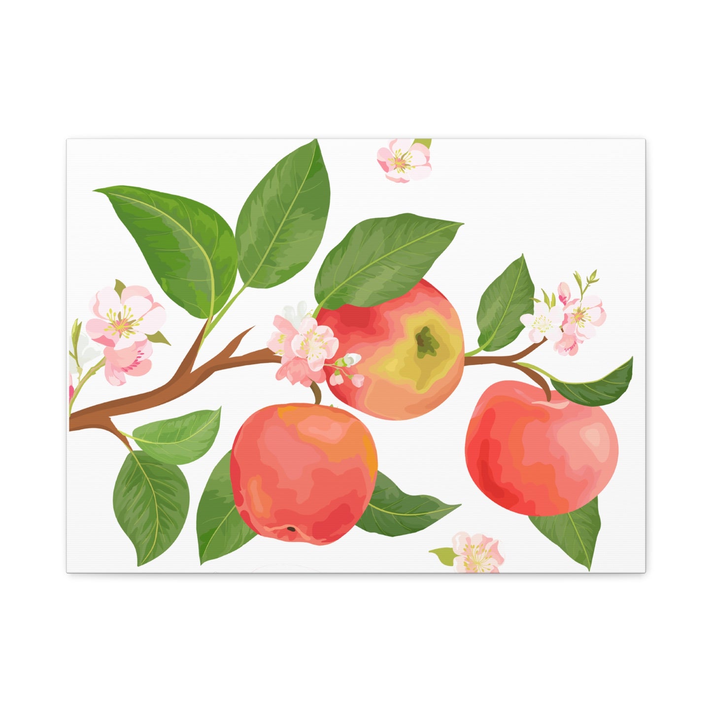 Apple Harvest Canvas Art Print - Multiple Sizing Options