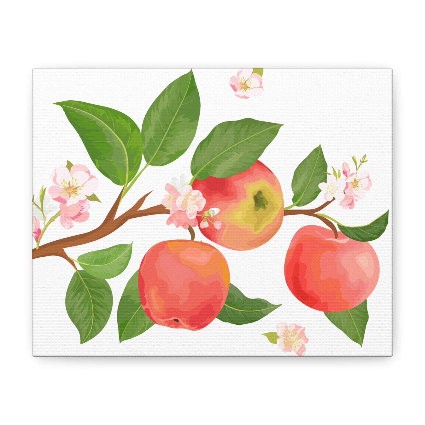 Apple Harvest Canvas Art Print - Multiple Sizing Options