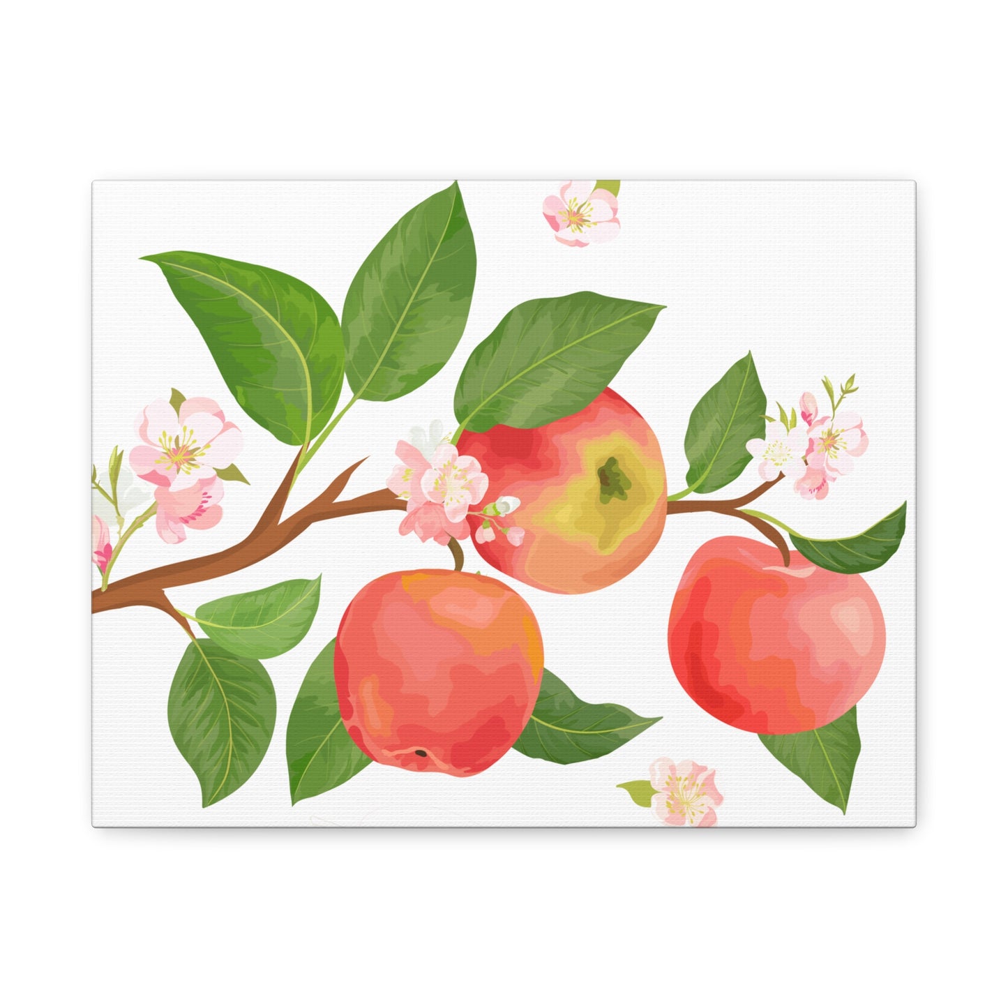 Apple Harvest Canvas Art Print - Multiple Sizing Options