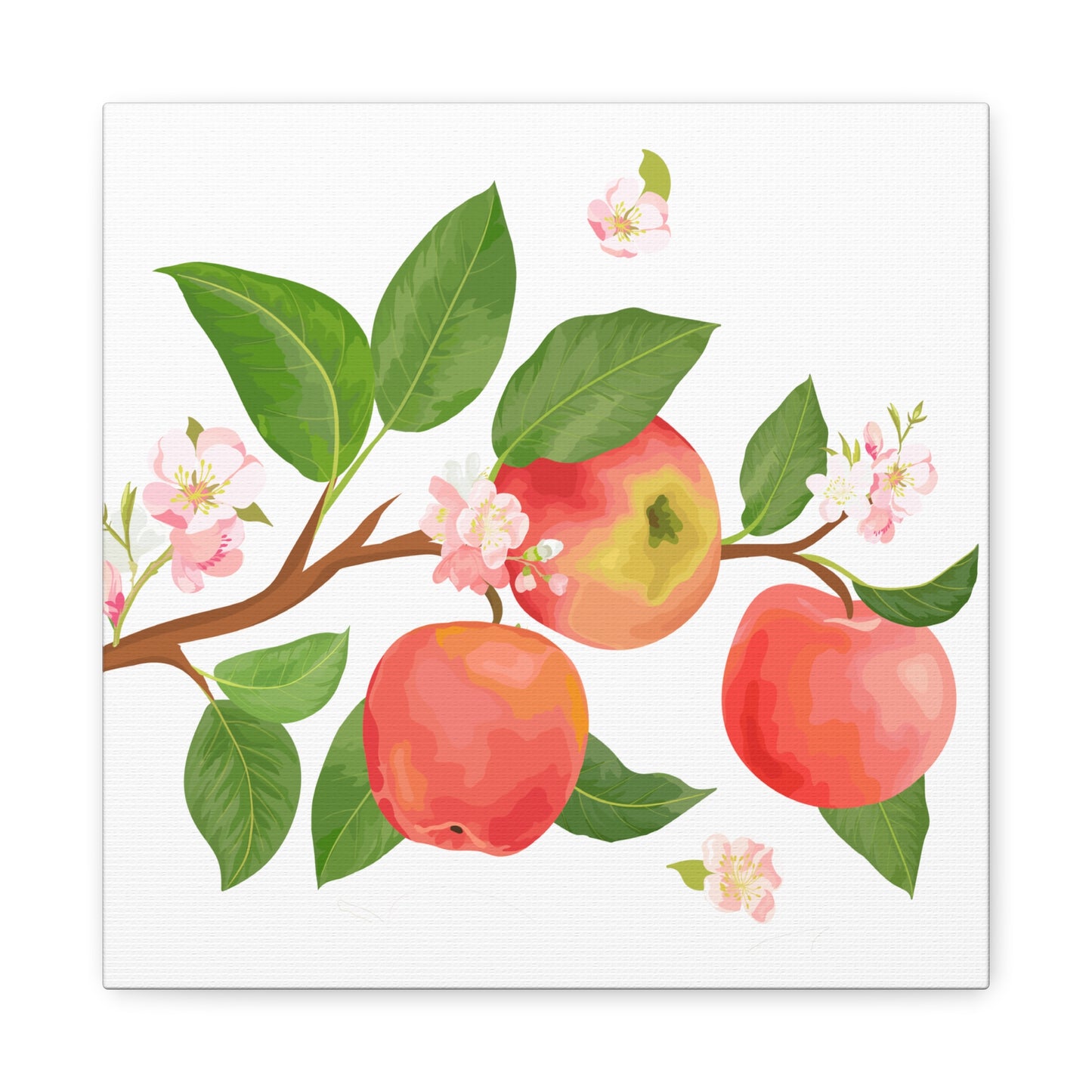 Apple Harvest Canvas Art Print - Multiple Sizing Options