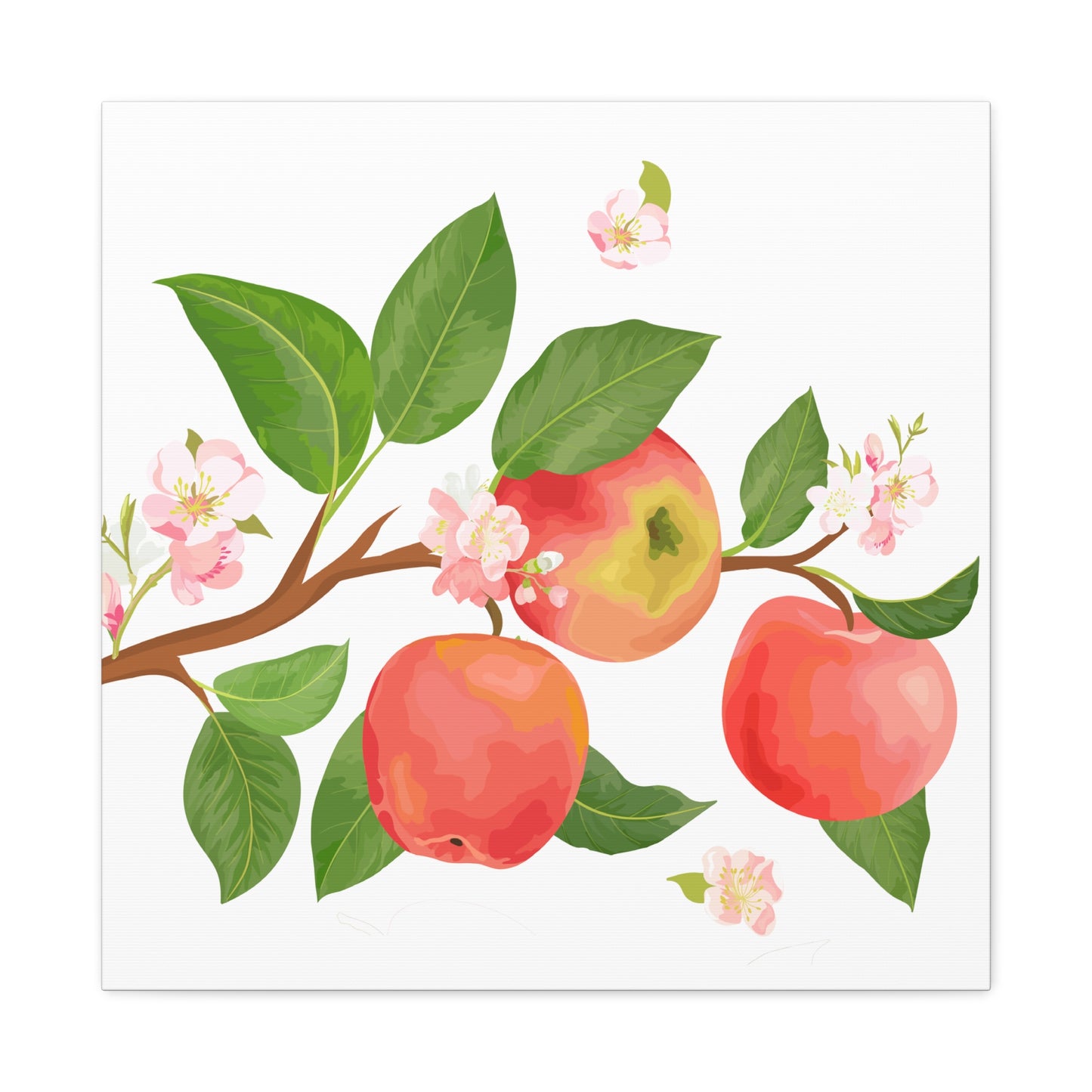 Apple Harvest Canvas Art Print - Multiple Sizing Options