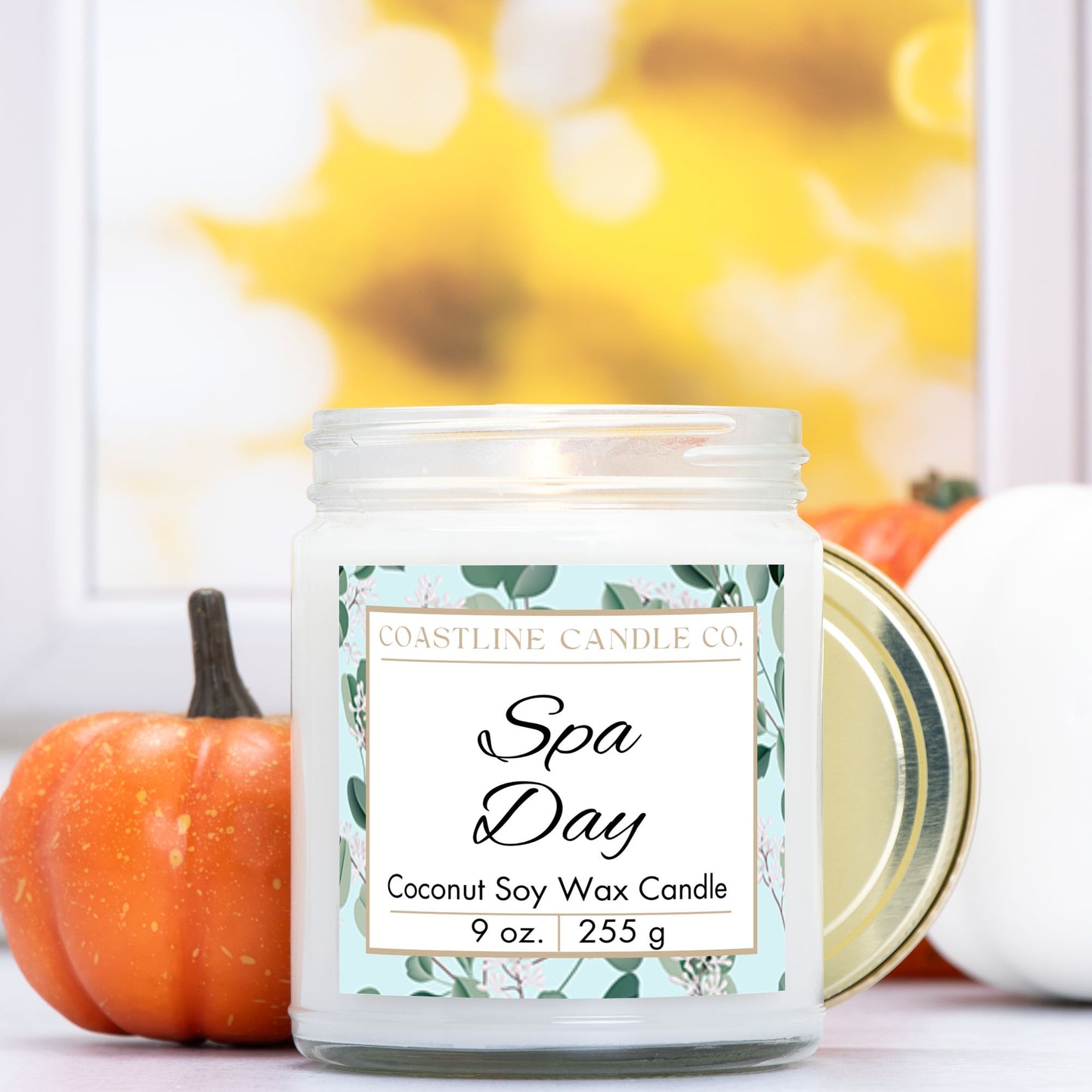 Spa Day Scented 9 oz. Coconut Soy Wax Candle, Clear Jar with Gold Lid, Cotton Wick
