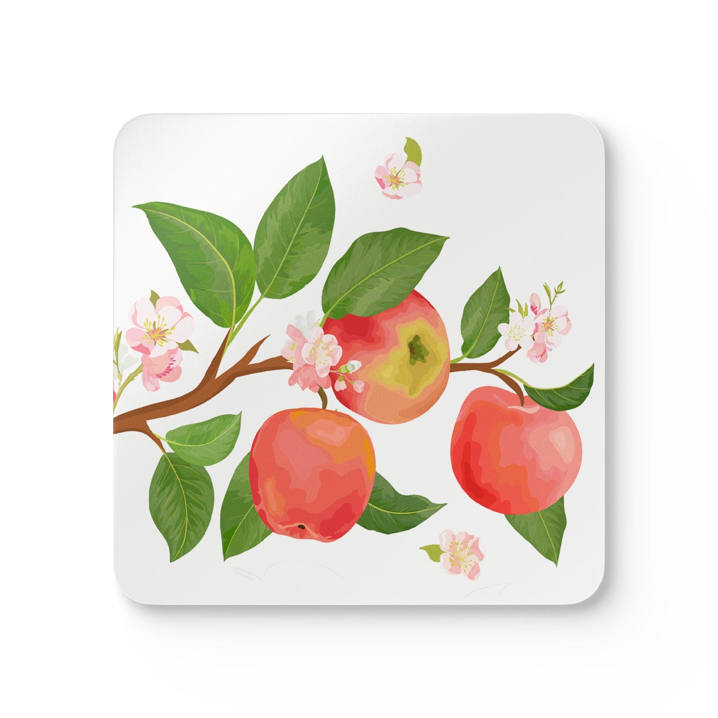 Apple Harvest Coasters Cork Back - 4 Pack