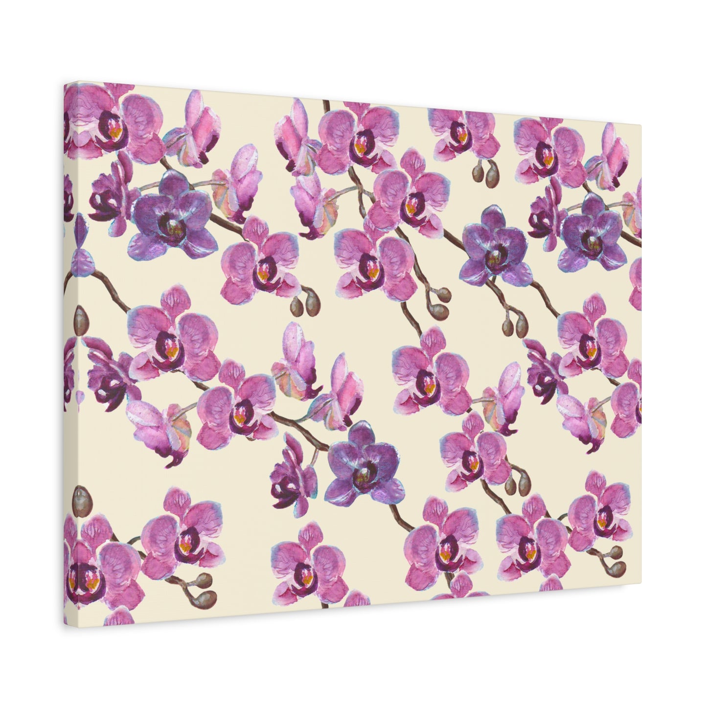 Vanilla Orchid Canvas Art Print - Multiple Sizing Options
