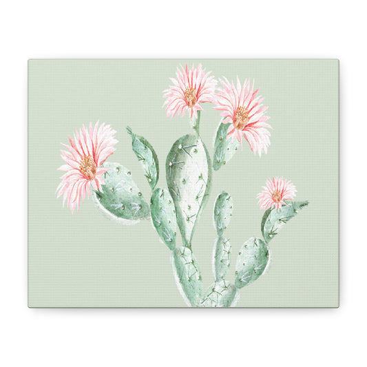 Cactus Flower Canvas Art Print - Multiple Sizing Options